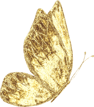 Golden Butterfly Illustration