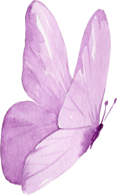 Watercolor Illustration Of The Violet Butterfly